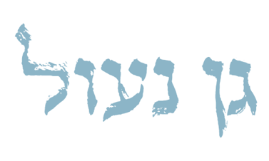 גן נעול
